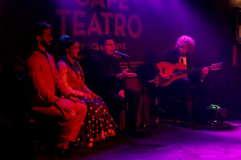 amorali-flamenco-show-fuengirola-0