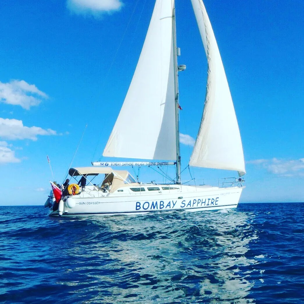 bombay-sapphire-dolphin-trips-fuengirola-go-sailme-sailing-boat-charters-0
