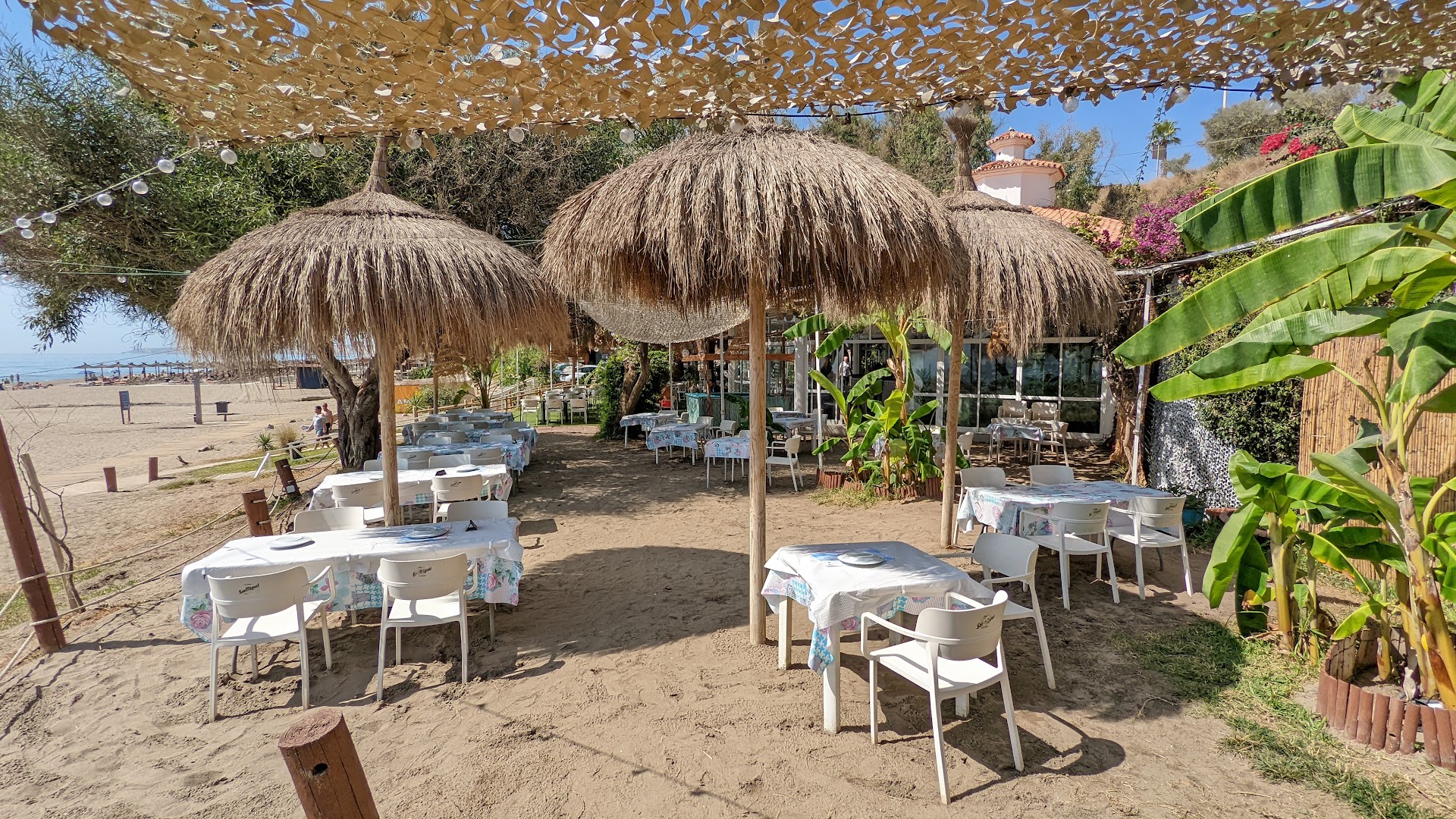 chiringuito-kalifato-0