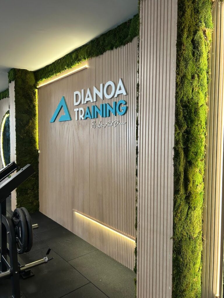 dianoa-training-by-lya-and-diana-0 dianoa-training-by-lya-and-diana-0