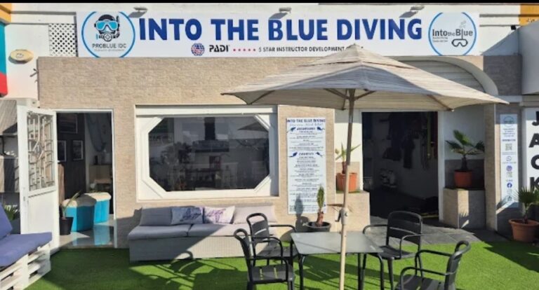 diving-into-the-blue-0 diving-into-the-blue-0