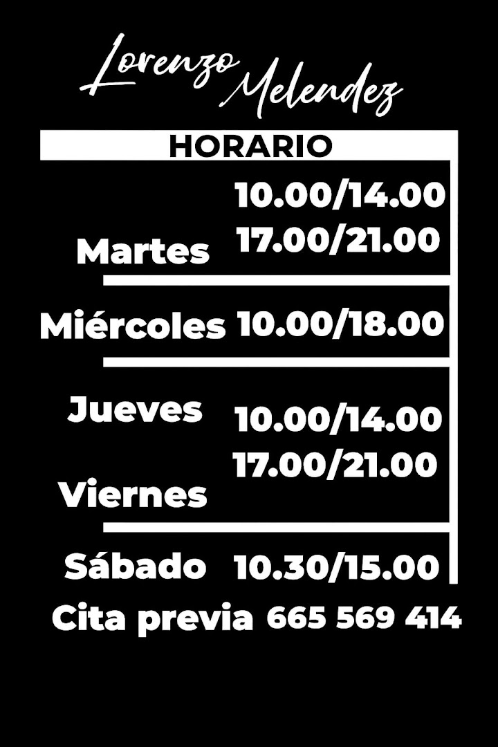 lorenzo-melendez-hair-salon-0
