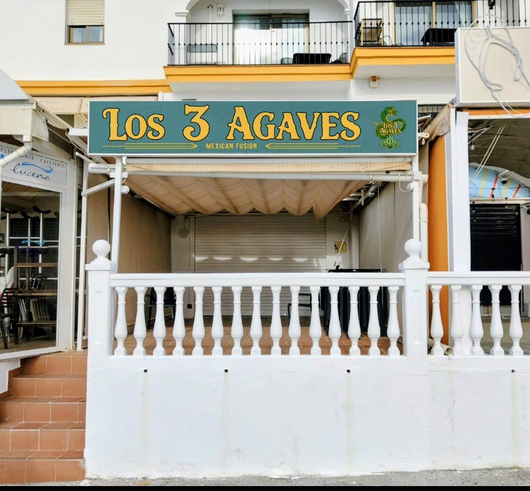 los-tres-agaves-0