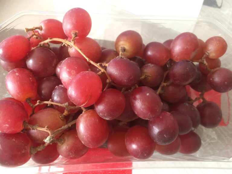 mercafruta-0 mercafruta-0