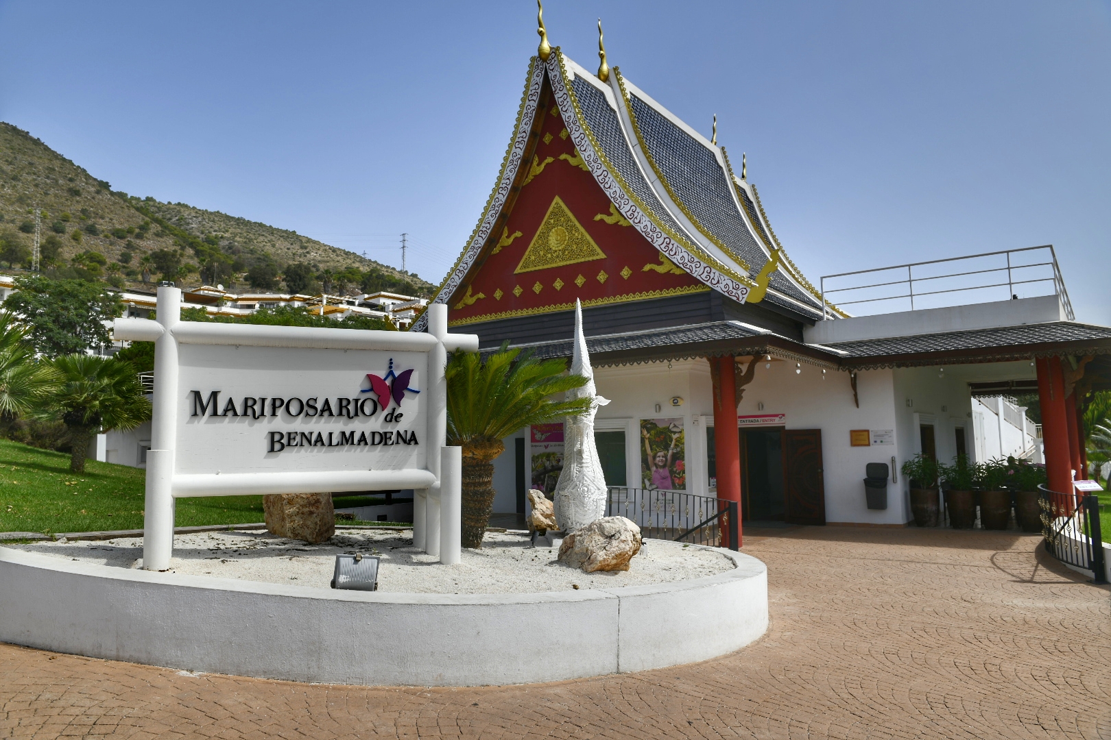 monowa-butterfly-park-in-benalmadena-0