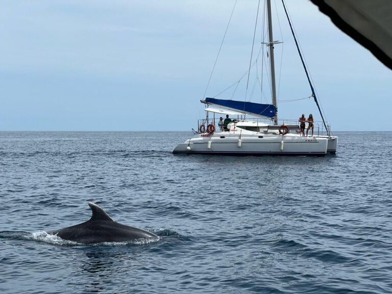 ocean-wave-trips-benalmadena-0
