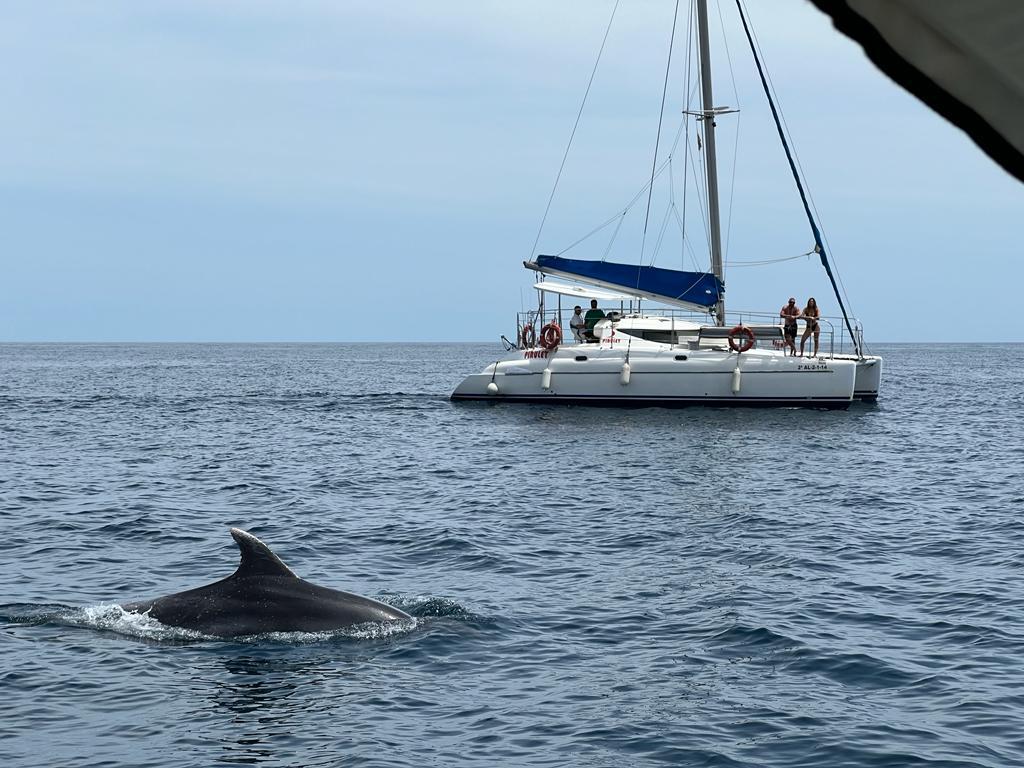 ocean-wave-trips-benalmadena-0