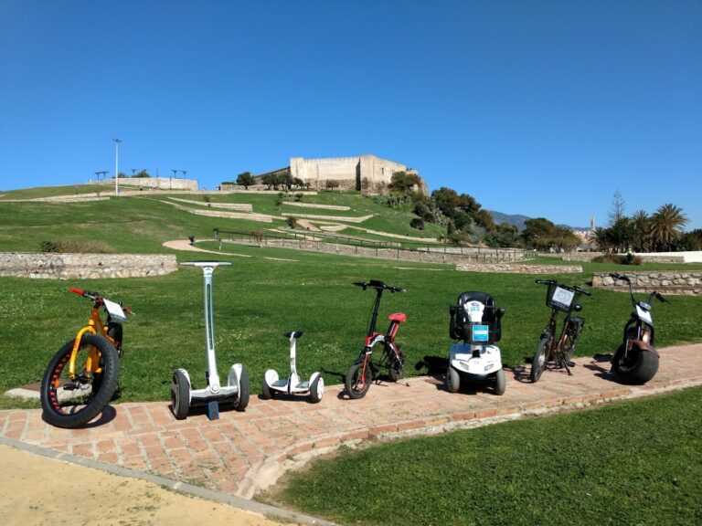 phoenix-rental-fuengirola-0
