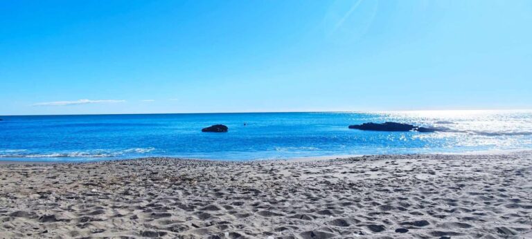 playa-de-benalnatura-0