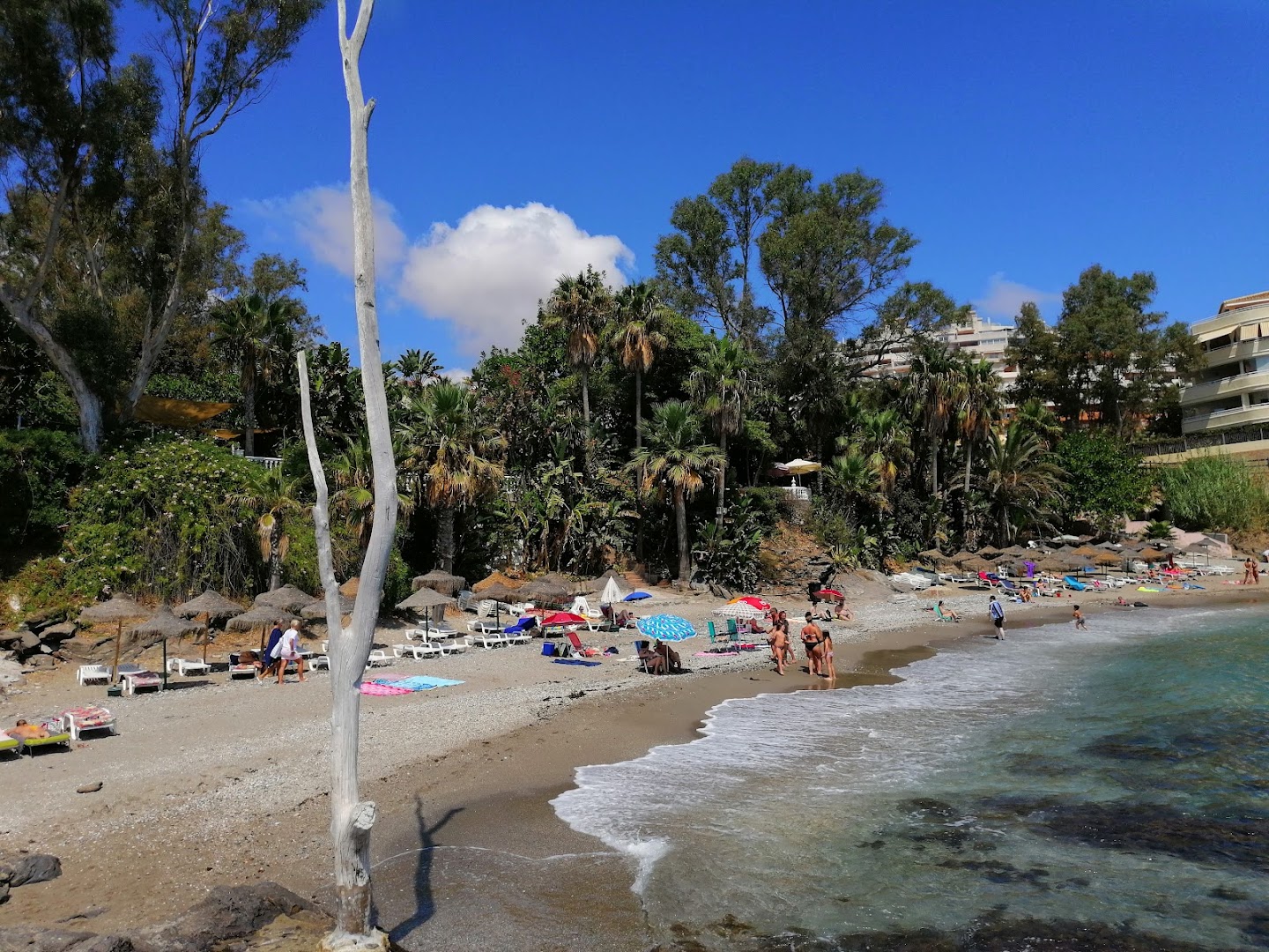 playa-las-viborillas-0