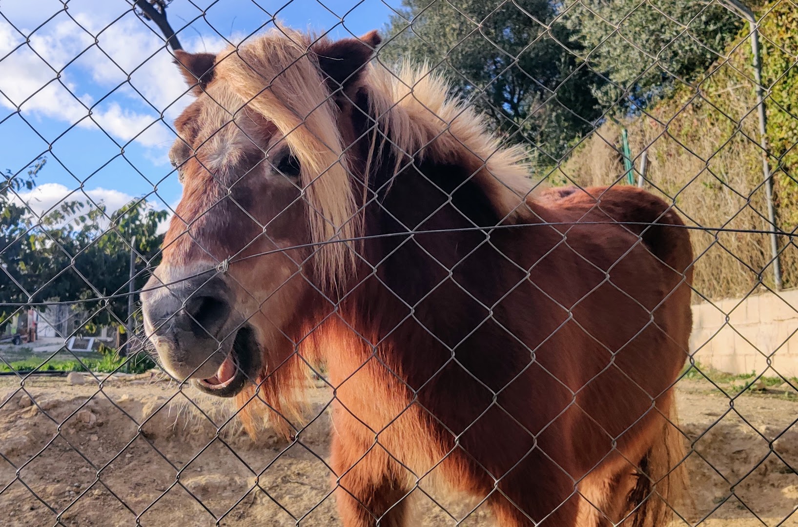 subida-al-toro-de-osborne-fuengirola-0