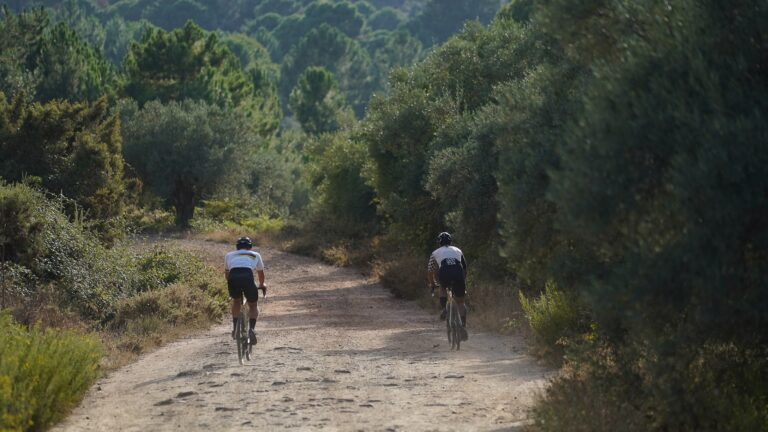 terral-bike-rental-bike-shop-0 terral-bike-rental-bike-shop-0