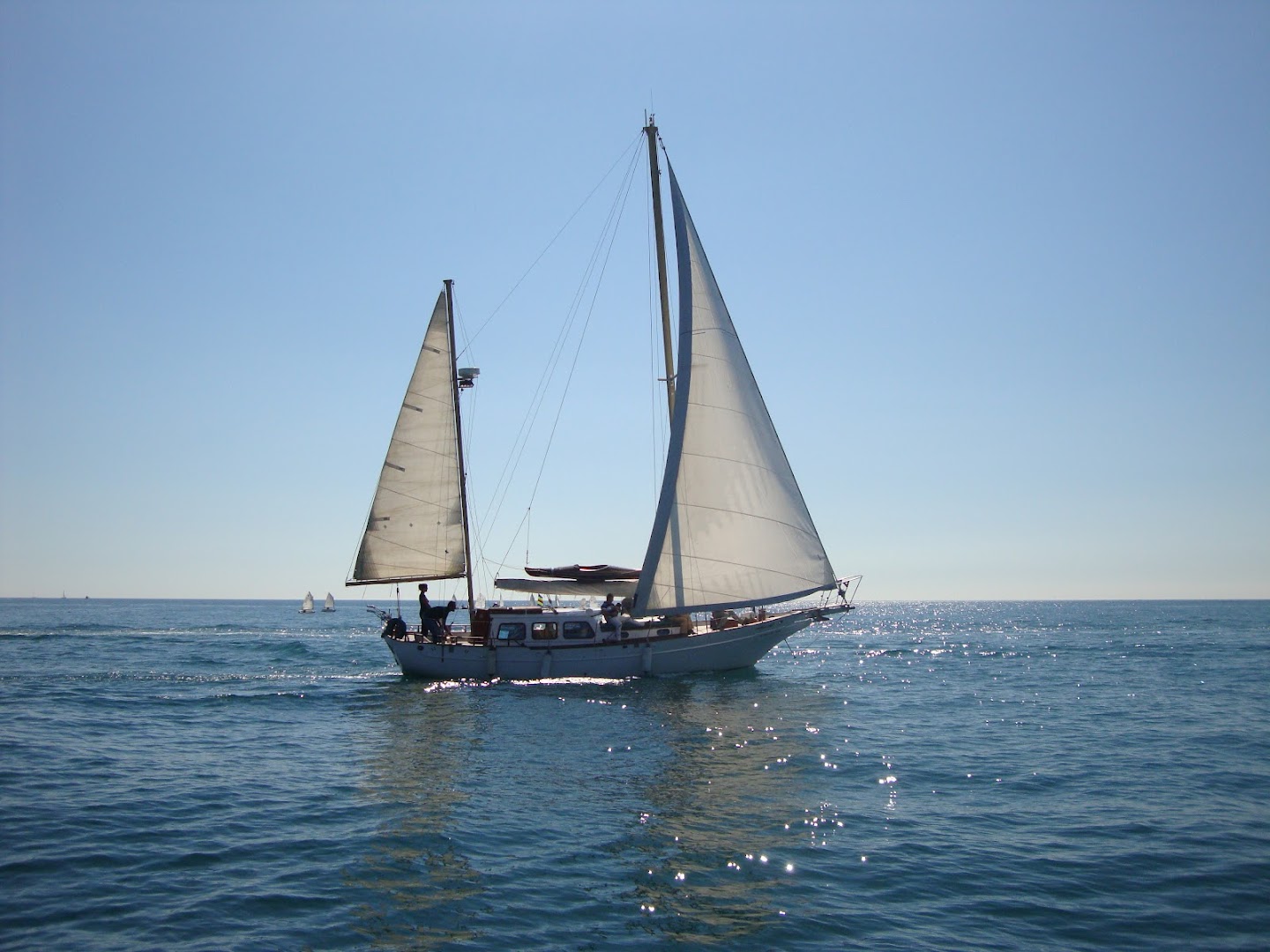 velero-ocean-cruiser-paseos-en-barco-excursiones-eventos-delfines-benalmadena-0