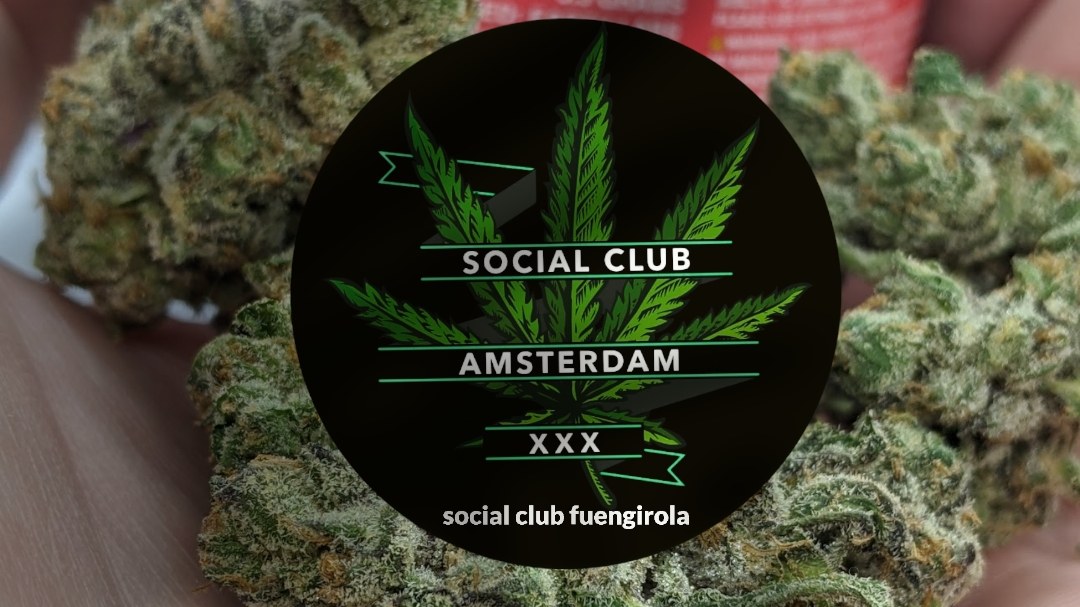 social-club-amsterdam-fuengirola-0